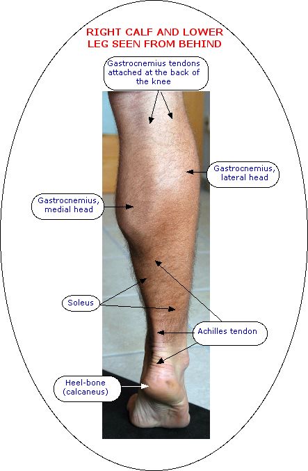 pain in lower calf and achilles tendon